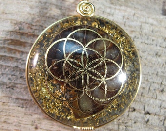 Ammonite with 22k Seed of Life (collaboration with Sacred State Design) - Orgone Pendant