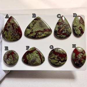 Può includere: Otto cabochon lucidati etichettati da A a H, caratterizzati da un motivo maculato verde oliva e rosso scuro. Le pietre variano in forma, includendo gocce, triangoli, cerchi e ovali, tutti esposti su una superficie bianca.