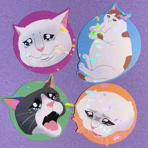 Woe Cats crying cat meme holographic sticker decals for laptop