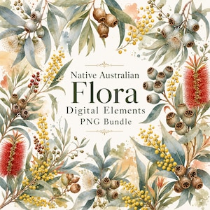 Australian Native Flora Vector Bundle - Watercolor Vector Botanical Graphics, Eucalyptus and Bottlebrush Elements/Embellishments