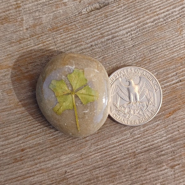 GENUINE! Four-Leaf Clover Mini Stone Paperweights