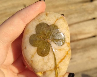 GENUINE! Five-Leaf Clover Stone Paperweights
