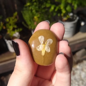 Mini Assorted Pressed Flower Stone Paperweights