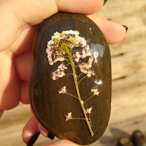 Assorted Pressed Flower Stone Paperweights