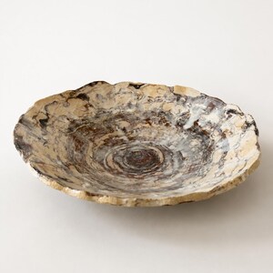 Op de afbeelding: Een ondiepe, ronde kom gemaakt van versteend hout, met een natuurlijke, organische rand. Het oppervlak vertoont ingewikkelde, concentrische ringen in tinten crème, beige, donkerbruin en houtskool, die het uiterlijk van een dwarsdoorsnede van een boomstam nabootsen.