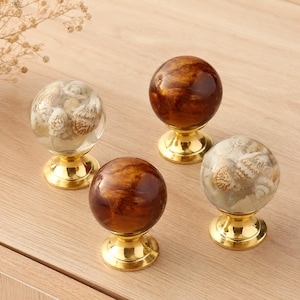 May include: Four spherical cabinet knobs with gold-toned metal bases. Two knobs feature clear resin spheres containing small, natural seashells, while the other two knobs consist of solid, polished, amber-brown marbled resin spheres.