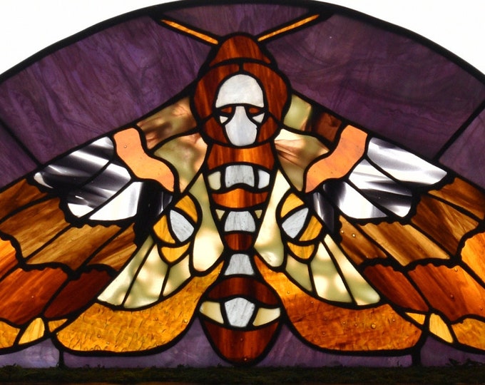 Featured listing image: Large Stained Glass Death's Head Hawk Moth Altar Piece on Raw Edge Wood Stand with Moss Base