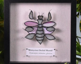 Handmade Stained Glass Green and Pink Malaysian Mantis Specimen Framed Faux Bug Taxidermy Cruelty Free