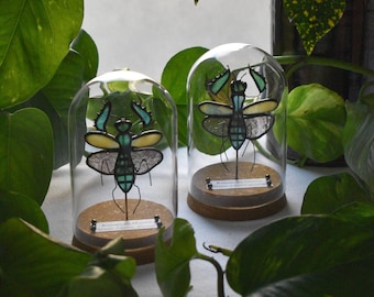 Handmade Stained Glass Teal Violet and Yellow European Mantis Specimen Cork Base Cloche Display