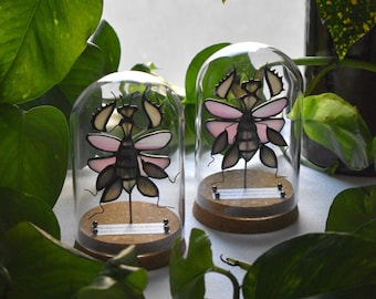Handmade Stained Glass Pink and Green Malaysian Orchid Mantis Specimen Cork Base Cloche Display