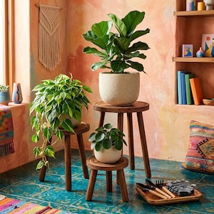 May include: Three wooden plant stands of varying heights hold a large fiddle leaf fig in a textured beige pot, a trailing philodendron in a white pot, and a small pilea plant in a white pot, with gardening tools on a wooden tray nearby.