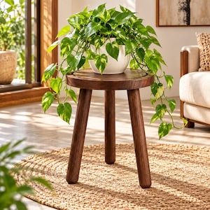 May include: A round, dark brown wooden stool with three sturdy, cylindrical legs. Resting on the flat, circular top is a white ceramic pot containing a lush, trailing pothos plant with variegated green and yellow heart-shaped leaves.