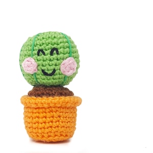 Cactus Casper - Amigurumi Crochet pdf Pattern (EN & NL)