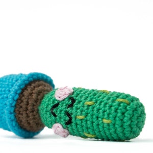 Cactus Cooper - Amigurumi Crochet pdf Pattern (EN & NL)