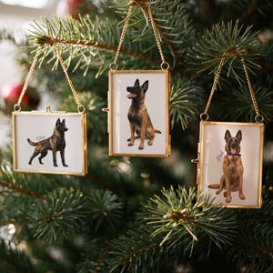 May include: Three rectangular glass ornaments with thin gold metal frames and gold chains. Each ornament displays a printed illustration of a Belgian Malinois dog. The left ornament shows a standing dog, while the center and right show seated dogs.