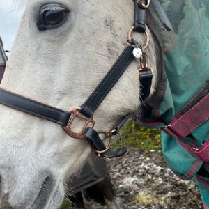 horse bridal collar tag