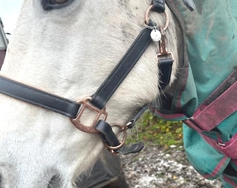 Identifikationsmarken, personalisierte Tags, Metall Namenschilder, Pferde Namenschilder, Zaumzeug Tags, Pferdehalfter Tags, benutzerdefinierte Namentags, Haustierhalsband Tags