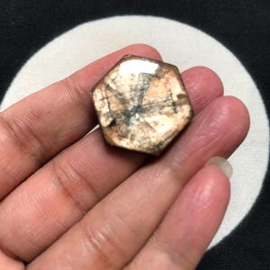 May include: A hexagonal-shaped gemstone with a polished surface, displaying a translucent light brown and peach-colored body with dark, intersecting linear inclusions that form a distinct star-like pattern across the center of the stone.