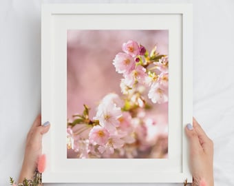 Fotografia de flor de cerejeira: arte de parede botânica