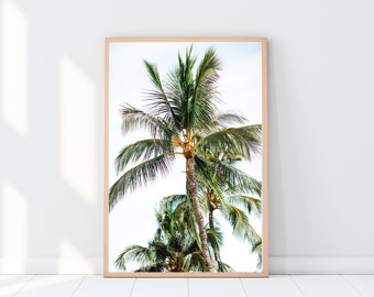 Framed Photography print, Hawaii Maui XII, Wall Art, Art Print, Travel Photo, Home Decor, Around the World Series