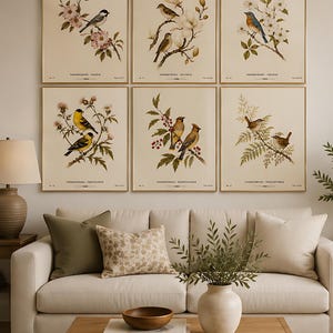 Puede incluir: Un conjunto de seis cuadros de pared con ilustraciones botánicas y de aves sobre un fondo crema. Cada lámina muestra texto científico en la parte inferior. La colección está dispuesta en dos filas de tres sobre un sofá beige.