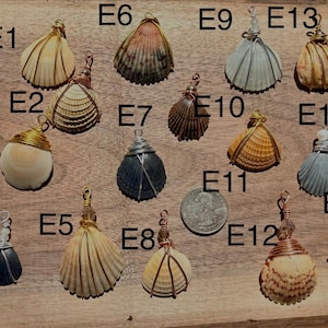 Wire Wrapped Shell Pendants