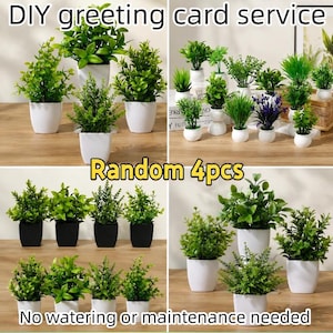 May include: A collection of small artificial green plants in various white and black pots. The image includes text stating DIY greeting card service, Random 4pcs, and No watering or maintenance needed. These decorative plants feature diverse leaf shapes.