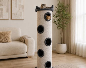 Cat Climbing Tower