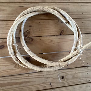 May include: A coiled length of light brown, textured natural wood branch or vine. The woody material is flexible and bent into a circular shape, secured in place with thin, light-colored twine tied at two points along the circumference.