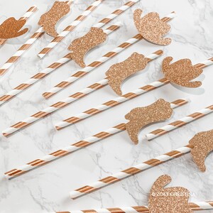 last Ride rodeo bachelorette party decorations Paper Straws hoedown party supplies, Birthday theme, farm theme cowgirl accessories 12pk Rose gold