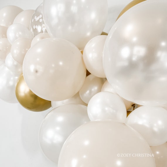 Set Decorazioni 18° Compleanno – Striscione Holy Shit You're 18 E 20 Palloncini Offensivi, Kit Completo Festa