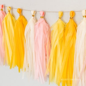 Ghirlanda di nappe di carta rosa limonata, ha trovato la sua spremuta principale, tema Lemon Baby Shower, decorazione della festa di laurea per lei