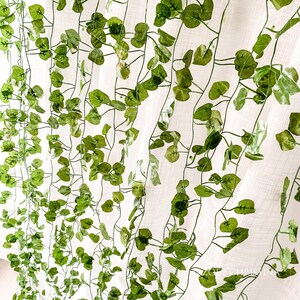 May include: A white sheer curtain with a green artificial vine garland hanging in front of it. The vine garland has many small green leaves.