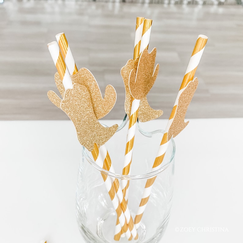 last Ride rodeo bachelorette party decorations Paper Straws hoedown party supplies, Birthday theme, farm theme cowgirl accessories 12pk immagine 7