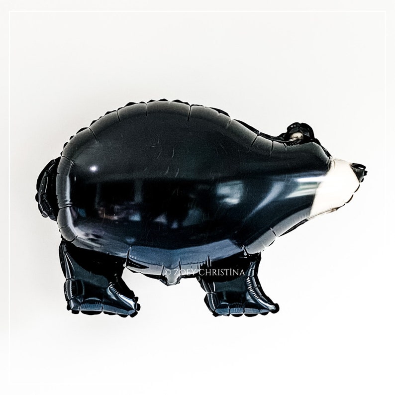 May include: Black balloon shaped like a bear with a white face. The balloon is inflated and ready to be used for a party or celebration.