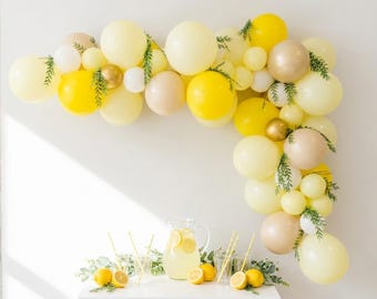 Lemon Baby Shower Balloon Garland Kit: Lemonade Party Decor