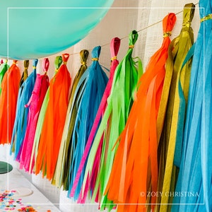 Final Fiesta Tassel Garland: Tropical Bachelorette Party Decor