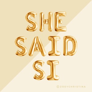 She said si banner, Final Fiesta party decorations supplies, Bach Balloon banner sign, Fiesta decor accessories table photo backdrop