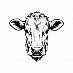 Op de afbeelding: Een zwart-witte grafische illustratie van een koeienkop die naar voren kijkt. Het kunstwerk bevat gedetailleerd lijnwerk en schaduw om de gelaatstrekken, oren en snuit van het dier te definiëren, gepresenteerd tegen een effen witte achtergrond.