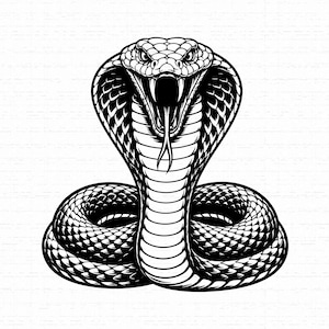 Könnte beinhalten: Eine schwarz-weiße grafische Illustration einer Kobra in aufrechter, geringelter Haltung mit gespreiztem Nackenschild. Die Schlange hat ein offenes Maul mit sichtbaren Giftzähnen und gespaltener Zunge sowie detaillierte Schuppenmuster.
