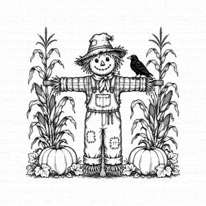 May include: A black and white line art illustration of a scarecrow wearing a hat, plaid shirt, and overalls with patches. The scarecrow stands between two corn stalks with visible ears of corn and pumpkins at its feet, with a crow perched on its arm.