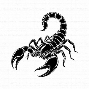 Puede incluir: Una ilustración gráfica en blanco y negro de alto contraste de un escorpión. La criatura se muestra con la cola arqueada sobre el dorso, grandes pinzas delanteras extendidas hacia adelante y ocho patas segmentadas sobre un fondo blanco.