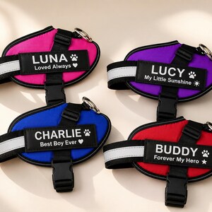 Pettorina personalizzata per cani: pettorina e guinzaglio con patch personalizzata con nome e slogan, set di pettorina per animali domestici
