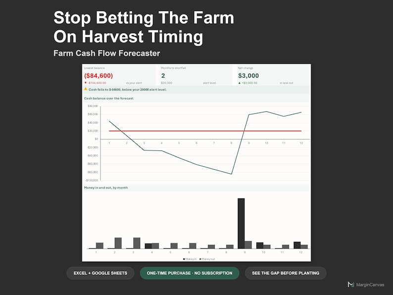 Farm Cash Flow Spreadsheet - Agriculture Cash Flow Forecast and Budget Planner, Excel and Google Sheets, Instant Digital Download immagine 1