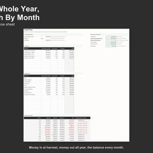 Farm Cash Flow Spreadsheet - Agriculture Cash Flow Forecast and Budget Planner, Excel and Google Sheets, Instant Digital Download immagine 3