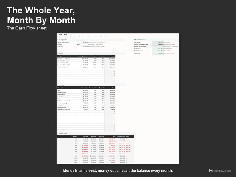 Farm Cash Flow Spreadsheet - Agriculture Cash Flow Forecast and Budget Planner, Excel and Google Sheets, Instant Digital Download immagine 3