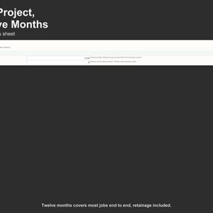 Construction Cash Flow Spreadsheet - Project Cash Flow Forecast for Contractors, Excel and Google Sheets, Instant Digital Download image 5