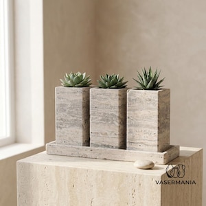 May include: Three rectangular beige travertine stone planters with natural porous textures, each holding a small green succulent plant, arranged in a row on a matching rectangular stone tray, with the text VASERMANIA printed in the corner.