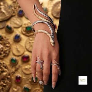Può includere: Un bracciale da braccio a forma di serpente nei toni dell'oro e dell'argento che avvolge l'avambraccio, abbinato a due anelli coordinati a forma di serpente indossati sulle dita. Il gioiello presenta una superficie testurizzata a scaglie.