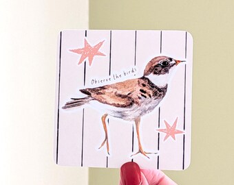 Mini Plover Bird Sticker Sheet